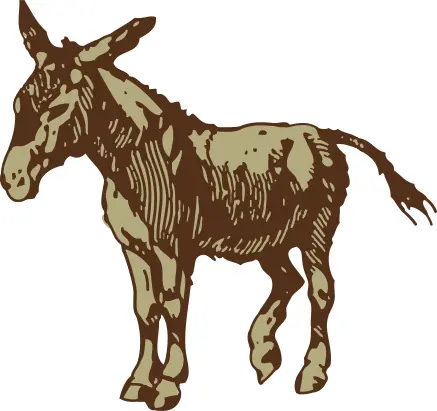 donkey