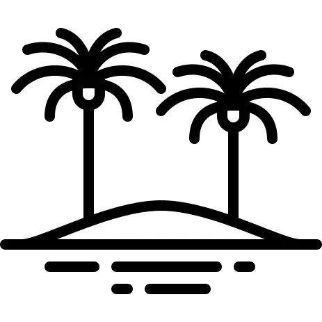 Palm trees