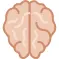Brain