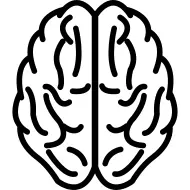 Brain upper view outline