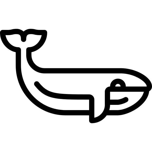 Whale