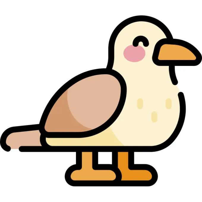 Seagull