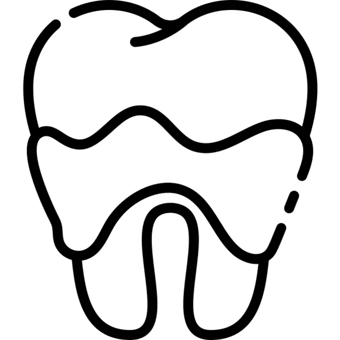 Tooth