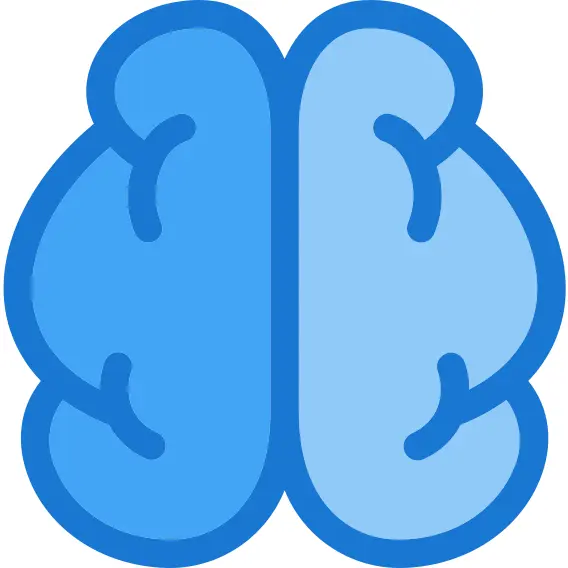 Brain