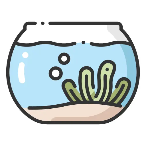 Fish bowl