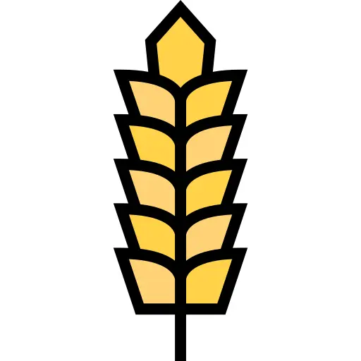 Wheat