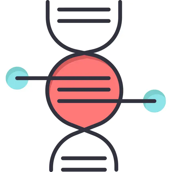 Dna