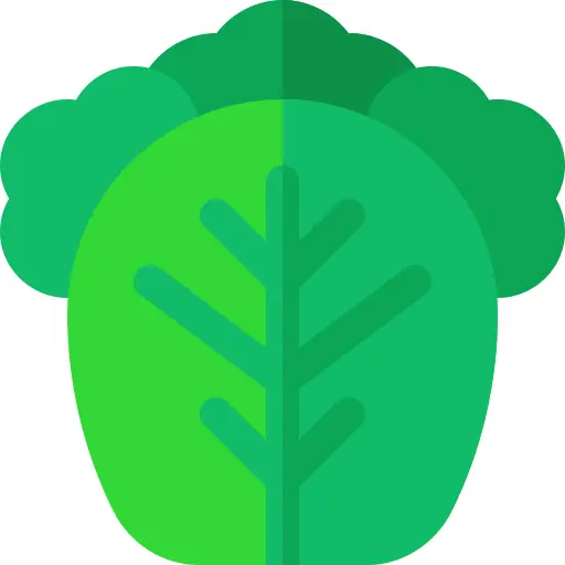 Cabbage