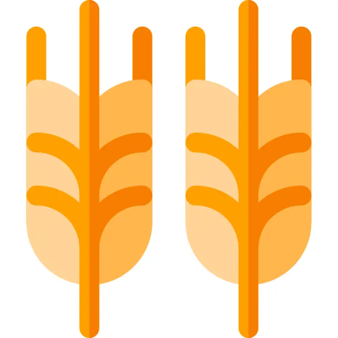 Wheat