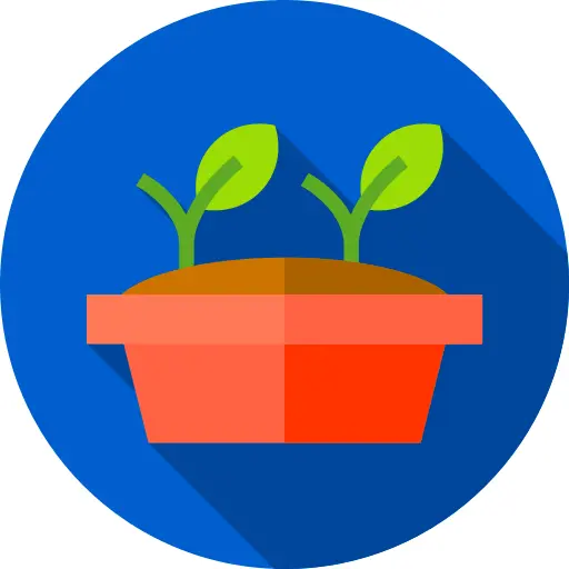 Sprout
