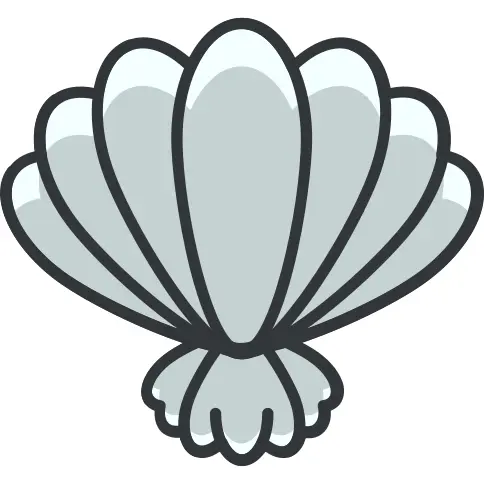 Seashell