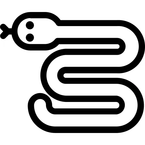 Snake
