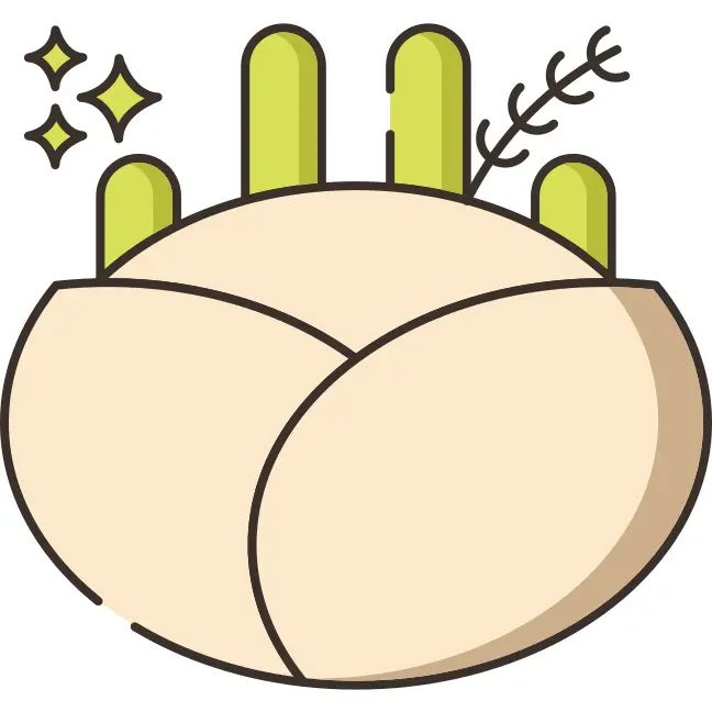 Fennel