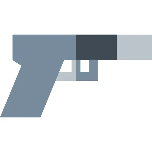 Gun