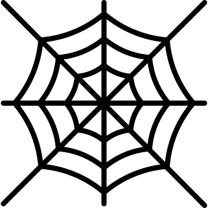 蜘蛛网