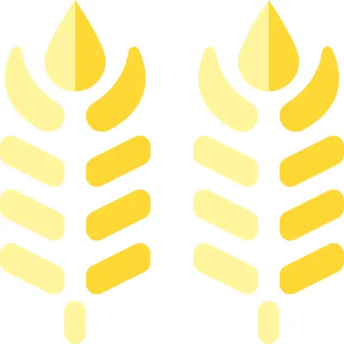 Wheat