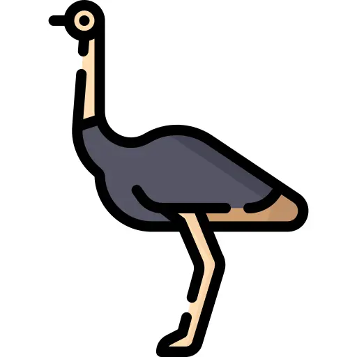 Ostrich