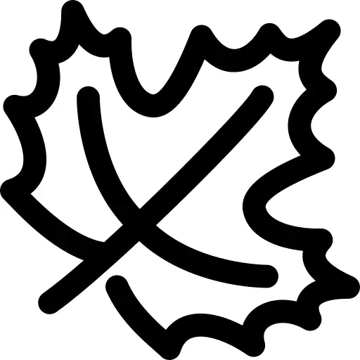 Maple leaf