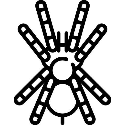 Tarantula