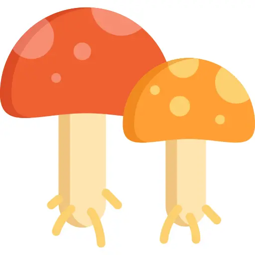 Mushroom