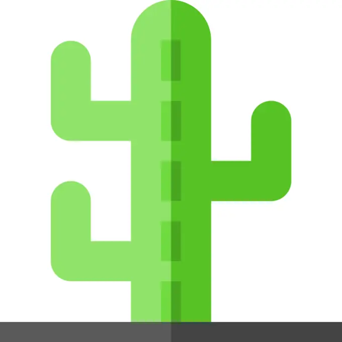 Cactus