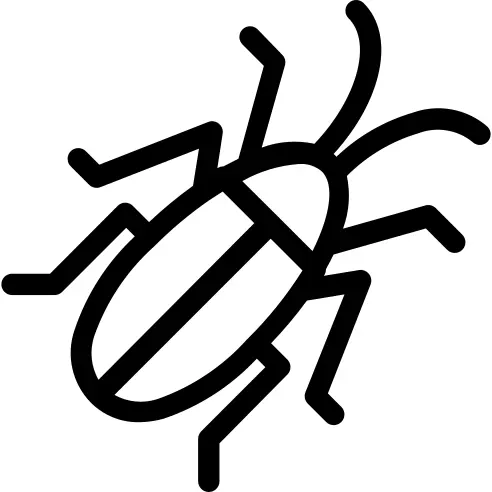 Cockroach