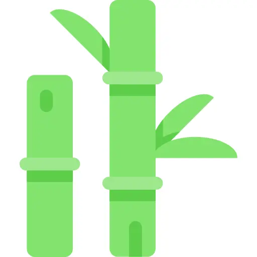 Bamboo