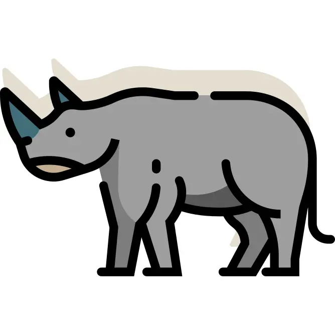 Rhinoceros