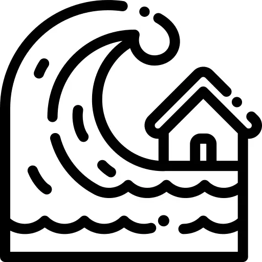 Tsunami