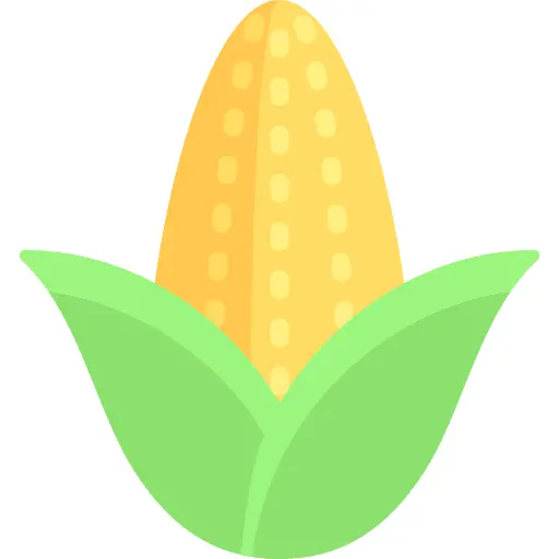 Corn