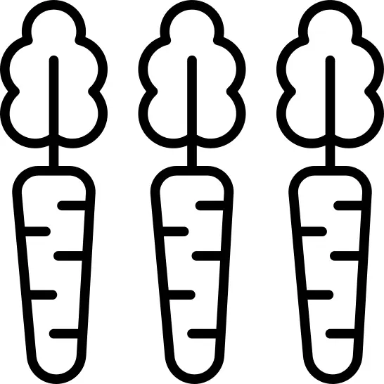 Carrots