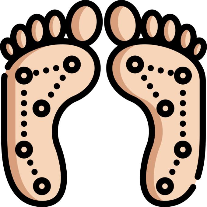 Foot