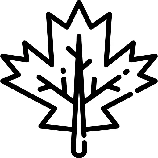Maple leaf