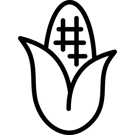Corn