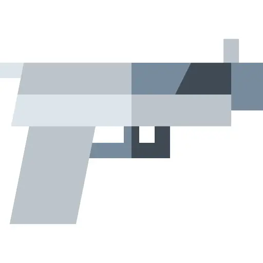 Gun