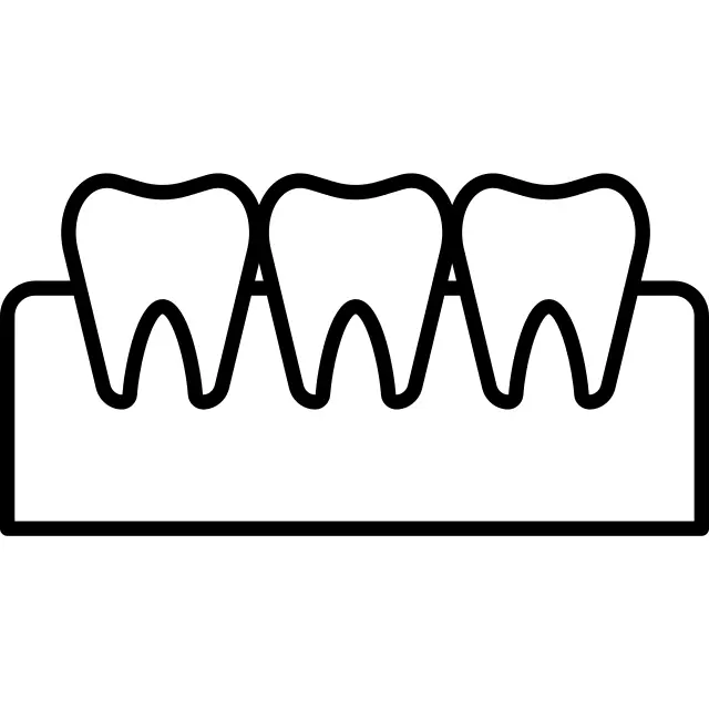 Teeth