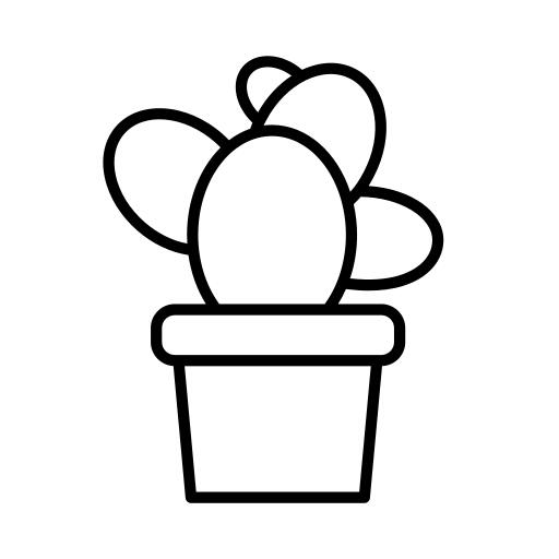 Potted plant