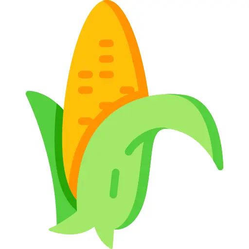 Corn