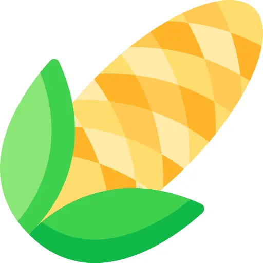 Corn