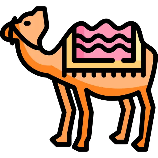 骆驼