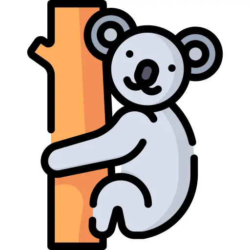 Koala