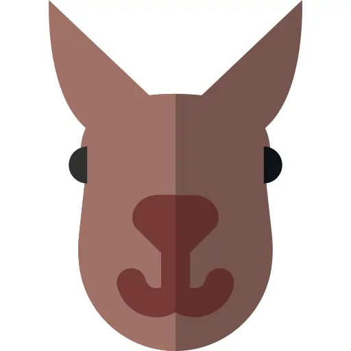 Kangaroo