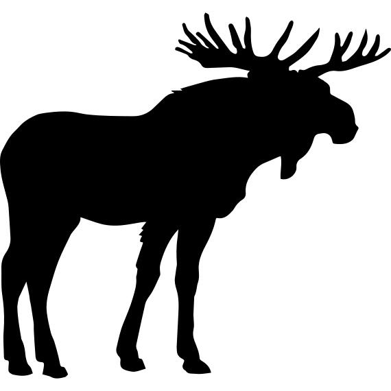 Moose shape