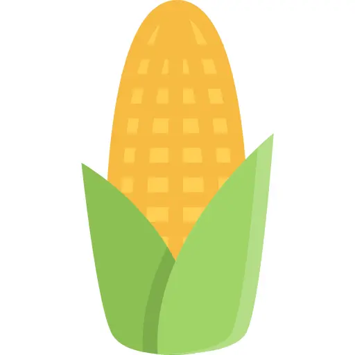 Corn