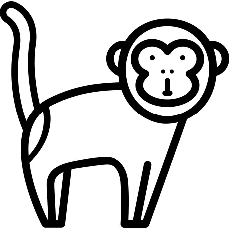 Monkey