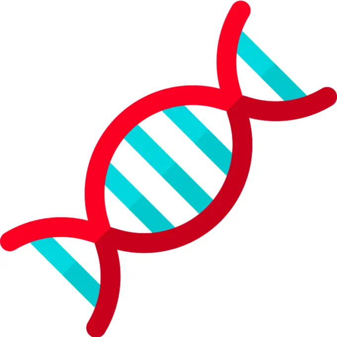 Dna