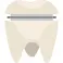Molar crown