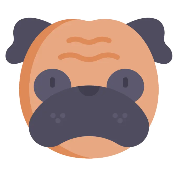 Pug
