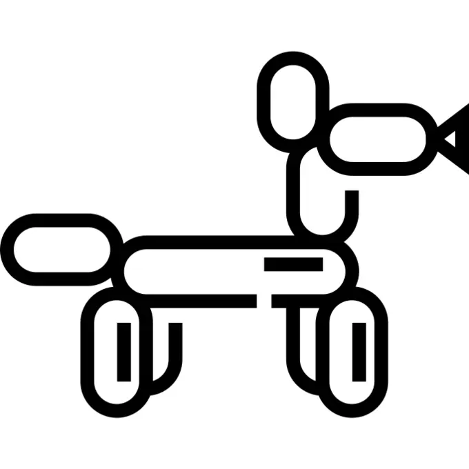 Balloon dog
