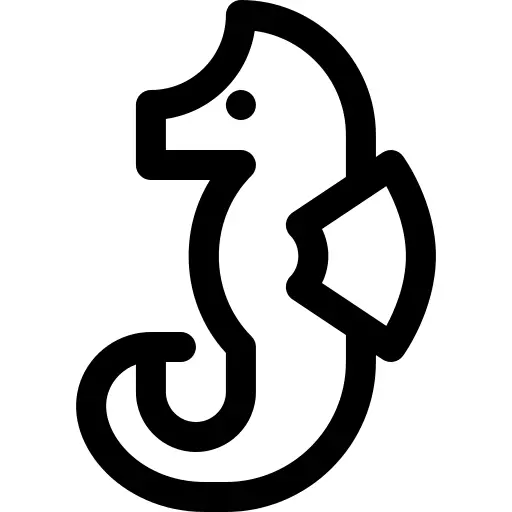 Seahorse